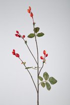 Kunsttak - Rosehip - topkwaliteit decoratie - 2 stuks - zijden kunsttak- Oranje - 95 cm hoog