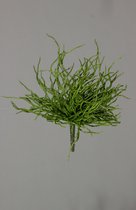 Kunstplant - Rhipsalis - topkwaliteit decoratie - 2 stuks - zijden tak - Groen - 30 cm hoog
