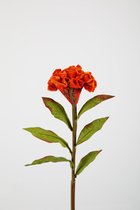 Kunstbloem - Celosia - hanenkam - topkwaliteit decoratie - 2 stuks - zijden bloem - oranje - 59 cm hoog