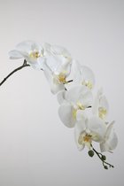 Kunstbloem - Phalaenopsis - vlinderorchidee - topkwaliteit decoratie - 2 stuks - zijden bloem - Wit - 86 cm hoog