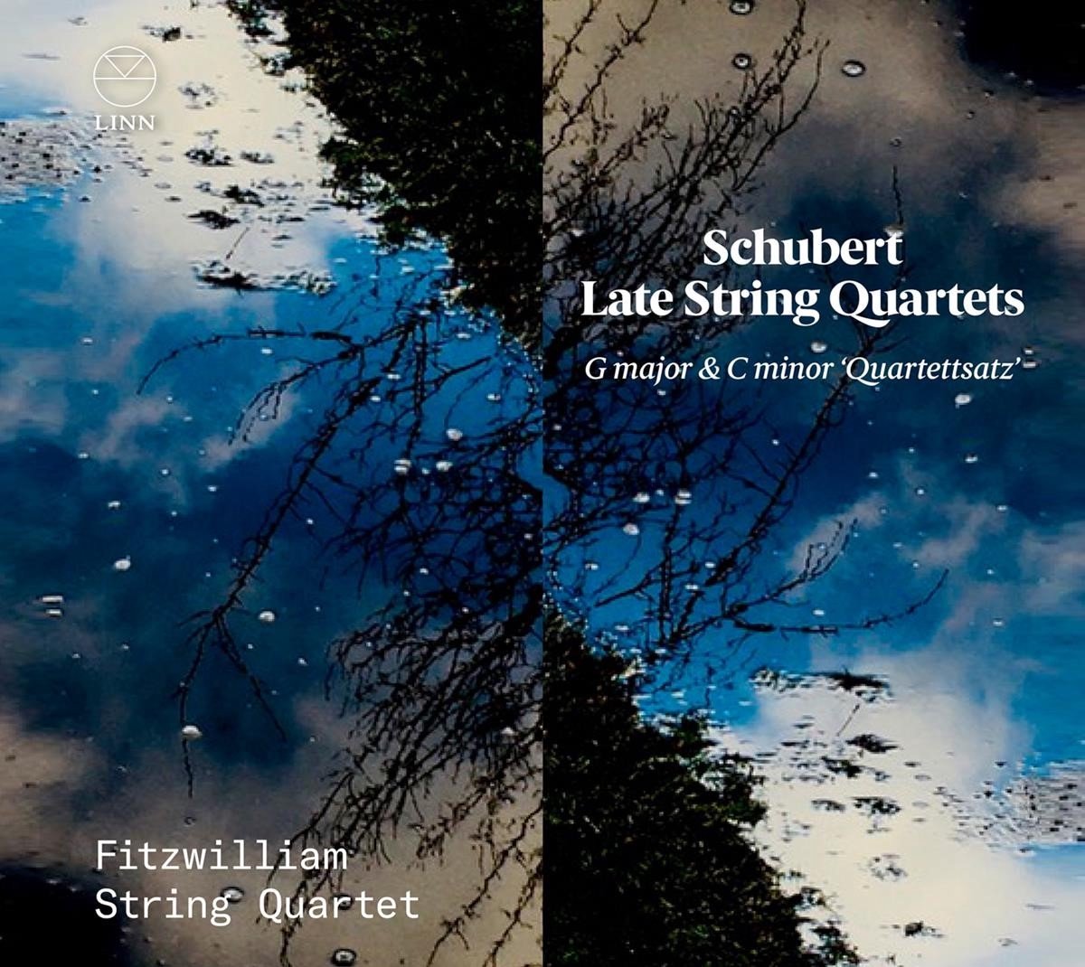 Fitzwilliam String Quartet - Schubert: Late String Quartets: G Major & C Minor "Quartettsatz" (CD)