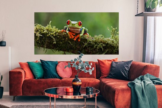 Poster Grenouille aux yeux rouges sur une branche couverte - 160x80 cm