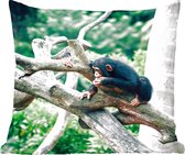 Sierkussens - Kussentjes Woonkamer - 60x60 cm - Jonge chimpansee in de jungle