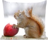 Sierkussens - Kussentjes Woonkamer - 45x45 cm - Eekhoorn eet een appel