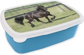 Broodtrommel Blauw - Lunchbox - Brooddoos - Fries paard in galop - 18x12x6 cm - Kinderen - Jongen