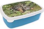 Broodtrommel Blauw - Lunchbox - Brooddoos - Slapende ree - 18x12x6 cm - Kinderen - Jongen
