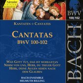 Bach-Ensemble, Helmuth Rilling - J.S. Bach: Cantatas Bwv 100-102 (CD)