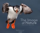 The Image of Nature