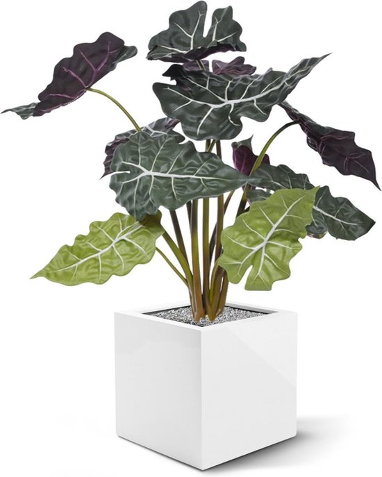 Red Alocasia kunstplant 65cm