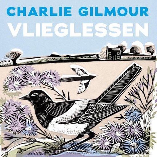Vlieglessen - cover