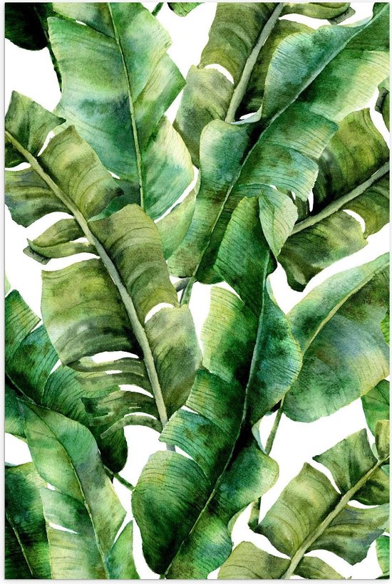 Poster – Collage van Groene Palmbladeren - 40x60cm Foto op Posterpapier