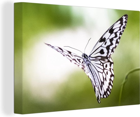 Canvas Schilderij Idea leuconoe vlinder in de lucht - 30x20 cm - Wanddecoratie
