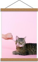 Schoolplaat – Verzorgende Kat - 30x40cm Foto op Textielposter (Wanddecoratie op Schoolplaat)