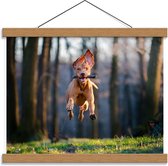 Schoolplaat – Vrolijke Hond in Bos met Tak - 40x30cm Foto op Textielposter (Wanddecoratie op Schoolplaat)