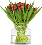 Rode tulpen - 100 stuks