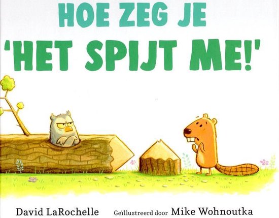Omslag van Hoe zeg je 'Het spijt me!'