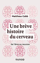 Une brève histoire du cerveau