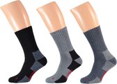 Apollo Wandelsokken Thermo Katoen Blauw/zwart 3 Paar Maat 39/42