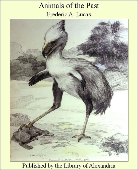Animals of the Past - cover