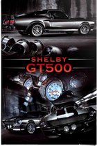 Poster Ford Shelby gt500