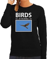 Dieren foto sweater Havik - zwart - dames - birds of the world - cadeau trui Havik roofvogels liefhebber S