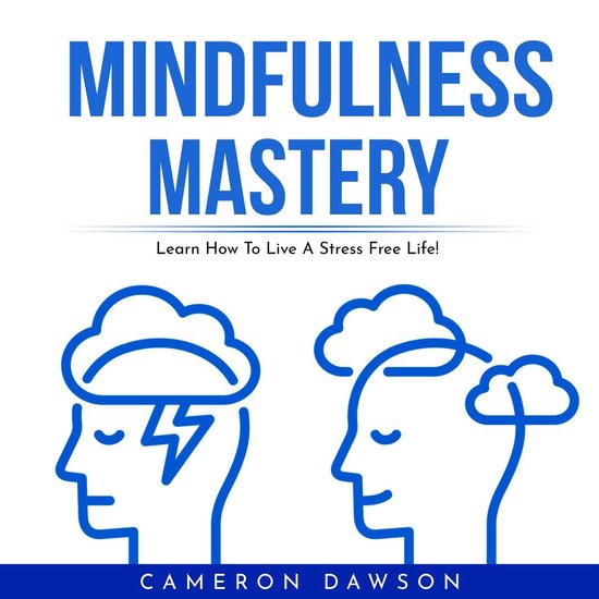 MINDFULNESS MASTERY: Learn How To Live A Stress Free Life