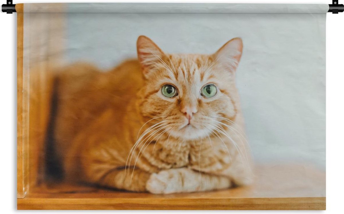 Wandkleed Katten - Oranje kat zittend op houten plank Wandkleed katoen  180x120 cm -... | bol.com
