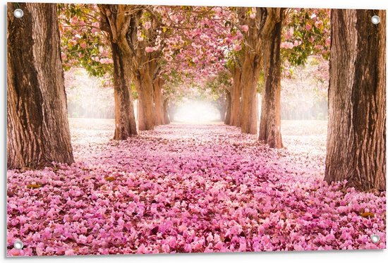 Tuinposter – Roze Pad van Bladeren - 90x60cm Foto op Tuinposter  (wanddecoratie voor buiten en binnen)
