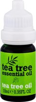 Tea Tree Oil 100% Pure Olie 10ml
