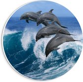 Forex Wandcirkel - Vier Dolfijnen springend uit Golf - 20x20cm Foto op Wandcirkel (met ophangsysteem)