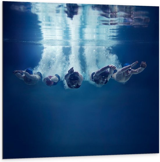 Dibond - Duikers in het Water - 100x100cm Foto op Aluminium (Met Ophangsysteem)