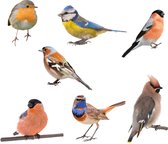 Muurstickers vogels set van  7 vogels | Vogels stickers muur | Dieren  |