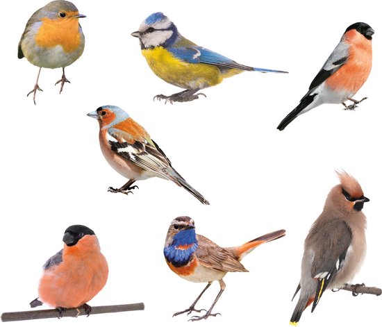 Muurstickers vogels set van  7 vogels | Vogels stickers muur | Dieren  |