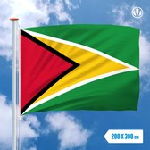 Vlag Guyana 200x300cm