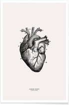 JUNIQE - Poster Menselijk hart -30x45 /Grijs & Ivoor