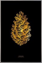 JUNIQE - Poster met kunststof lijst Pinecone gouden -20x30 /Goud &