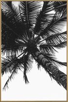 JUNIQE - Poster met kunststof lijst Propeller Palm -30x45 /Grijs & Wit