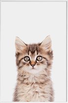 JUNIQE - Poster in kunststof lijst Kitten II -30x45 /Bruin & Grijs