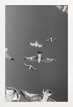 JUNIQE - Poster met houten lijst Soaring Birds -13x18 /Grijs & Wit