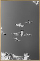 JUNIQE - Poster met kunststof lijst Soaring Birds -13x18 /Grijs & Wit