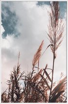 JUNIQE - Poster met kunststof lijst Grass I -13x18 /Bruin & Wit