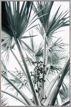 JUNIQE - Poster met kunststof lijst Beach Palm Fruits -20x30 /Grijs &