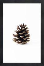 JUNIQE - Poster in houten lijst Pinecone N1 -20x30 /Bruin & Wit