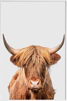 JUNIQE - Poster met kunststof lijst Highland Cow -13x18 /Bruin