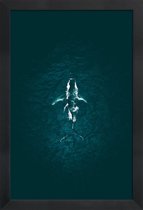 JUNIQE - Poster in houten lijst Humpback Breach -20x30 /Turkoois