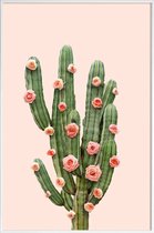 JUNIQE - Poster in kunststof lijst Cactusrozen foto -60x90 /Groen &