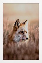 JUNIQE - Poster met houten lijst Fox in Reeds -60x90 /Bruin & Oranje