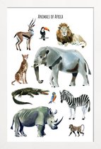 JUNIQE - Poster met houten lijst Animals of Africa -13x18 /Bruin &