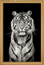 JUNIQE - Poster met houten lijst Head of the Pack -60x90 /Grijs &