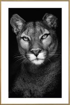 JUNIQE - Poster met kunststof lijst Lioness -30x45 /Grijs & Zwart